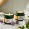 The Body Shop C Glow Intense Cream 1.7 fl oz