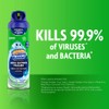 Scrubbing Bubbles Mega Shower Foamer Aerosol, Rainshower, 20 oz
