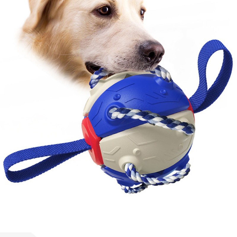 Interactive Outdoor Fly Ball Flying Saucer Ball Interesting Dog Soccer