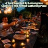 12-Pack Citronella Candles in Reusable Tins for Outdoor Ambiance