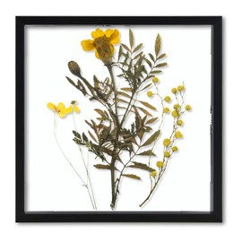 Frametory, Floating Picture Frame 8x8 - Black Aluminum Metal Photo Frame - Real Glass of Front - for Wall Mount Displays