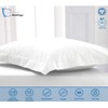 Comfort Beddings Export Quality 800 Thread Count 100% Egyptian Cotton