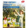 PIC Nastro Adesivo Antiformiche per Alberi da Frutto 5 m