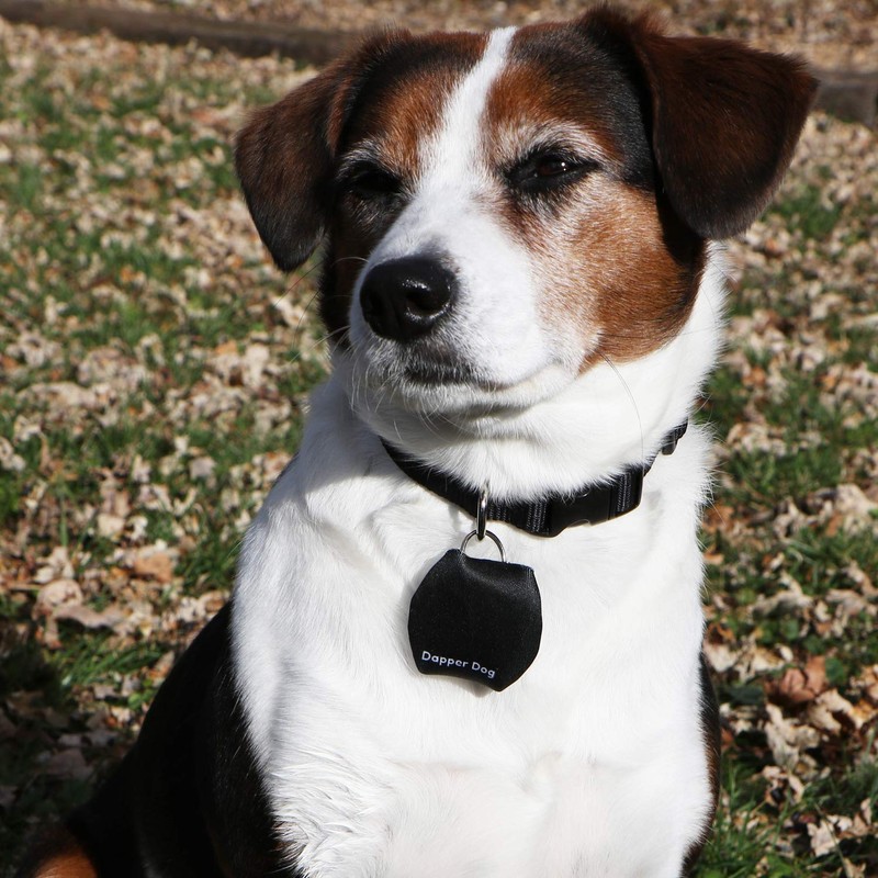 Dapper Dog - Dog Tag Silencer with Tag Ring