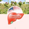 Silymarin Strength Milk Thistle Extract / 실리마린 스트렝스 밀크씨슬 추출물
