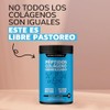 Péptidos Colágeno Hidrolizado Tipo I & III Beyond Vitamins (300
