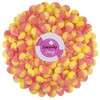 Smarty Stop Sour Gummy Candy, Mini Size, Fizzy (1 Pound