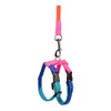 Harnesses for Rabbits, Assorted Colours