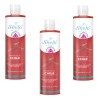 Shampoo De Chile Shelo Nabel® 530ml. 3 Piezas
