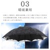 Parasol Women's Long Umbrella, Double Layered Lace, Light Shielding 100%