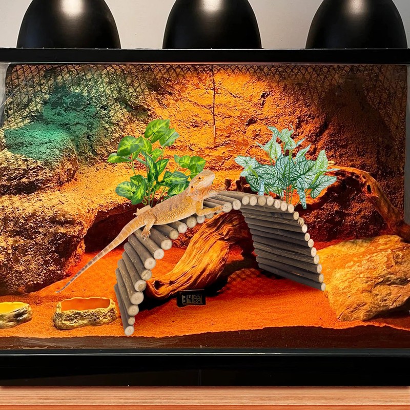 BNOSDM Large Reptile Hide Tortoise Hideout Bearded Dragon Wooden Bridge