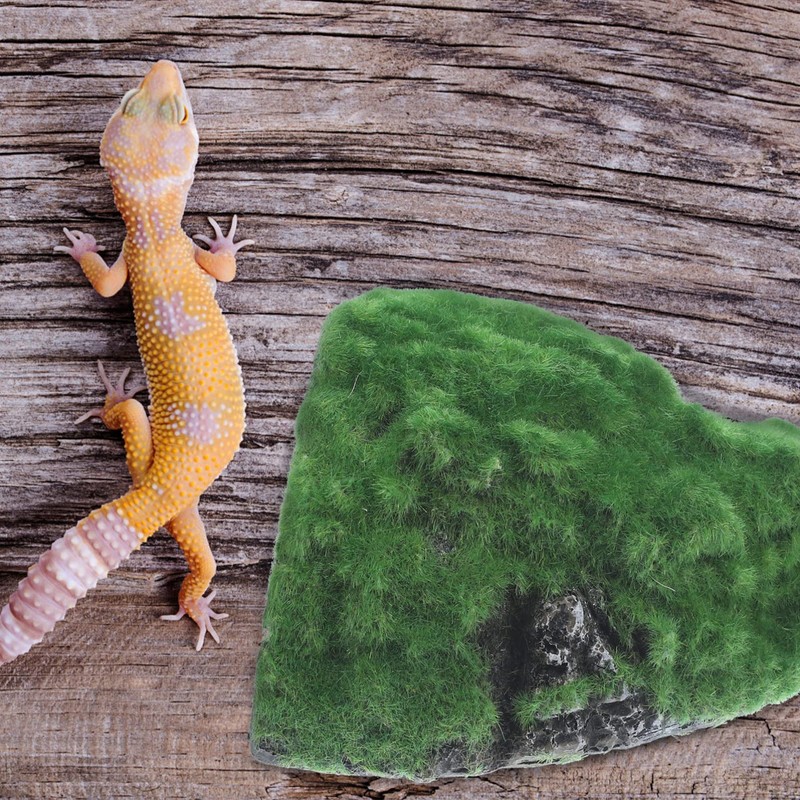 Mipcase Tortoise Hiding from House Reptile Rock Cave Axolotl Tank