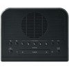 SANGEAN RCR-5 Digital AM/FM Clock Radio (Black)