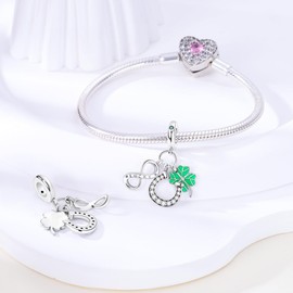 Hapour 925 Sterling Silver Charms for Bracelets Necklace European Jewellery Pendant Beads Poodle Charm for Women Mother, Sterling Silver, Cubic Zirconia