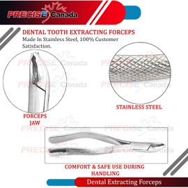 PRECISE CANADA: New German Grade Stainless Dental Tooth EXTRACTING Forceps #150XAS with Serrated Jaws New