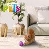 Fancy Pets Juguete Para Gato Set De Pelotas Sound 3