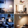 ILC RGB LED Light Bulb, Color Changing Light Bulb, 40W