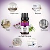Thyme Essential Oil, Pure, Undiluted, Premium Grade Thyme Oil -