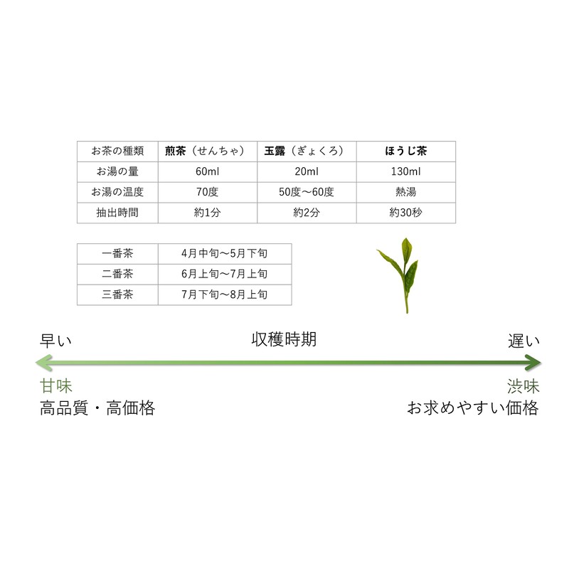 Yamecha Yame Shiraore Green Tea Leaves