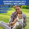 Pure Taurine for Cats–Taurine Supplement for Cats-Support for Heart,Vision &