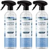Therapy Clean Window & Glass Cleaner 24 oz. (3-Pack) –