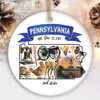 Collectible Ceramic USA Souvenir Keepsakes - Artistic Pennsylvania State Themes