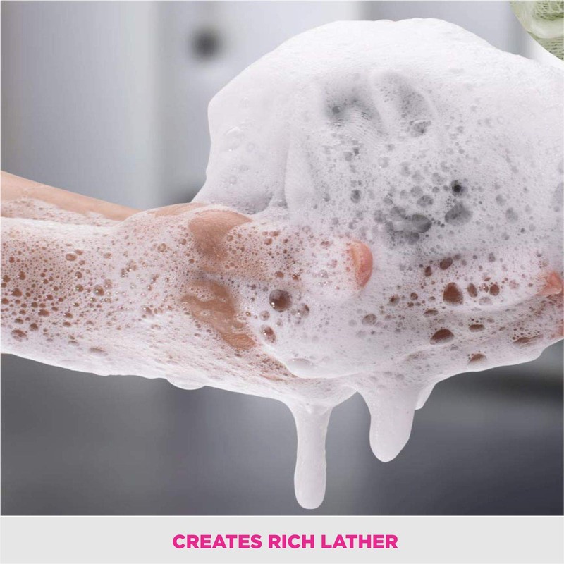 Vega Everyday Back Brush, 93 G, Purple