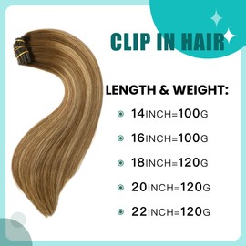 SURNEL Clip in Human Hair Extensions Hair Extensions Clip in Hair Extensions Remy Real Human Hair Double Weft Clip in Hair Extensions (20, #4/27/4)