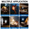 Ostwiki 6 Pack A19 Rechargeable Light Bulbs for Lamps 6500K