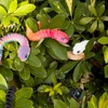 3D Printed Snake Animals Toys, Articulated Flexible 3D Printed Viper