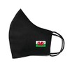 inking house Welsh Flag Cotton Face Mask Protective Covering Washable