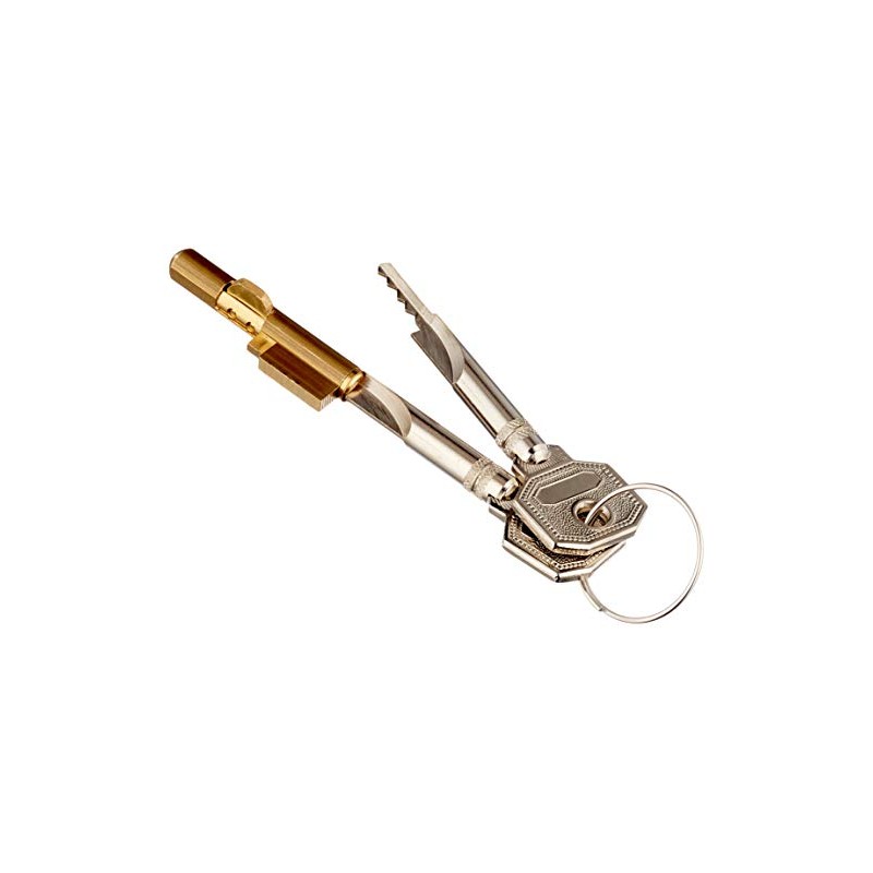 Burg Wächter E 6 Keys, Verschiedensperrend with 2 Keys