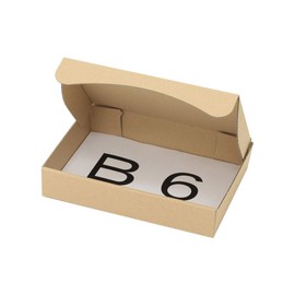 Earth Cardboard ID0282 Cardboard, Non-Standard Mail, Set of 10, B6, Cardboard, Non-Shaped Box, Small Items, Packaging