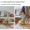 Jjojcll 2.3L(75oz) Glass Cooking Pot with Lid,Handmade Borosilicate Glass Stockpot