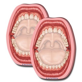 Mouth Sticky Notes, 2 Pack-100 Sheets Per Pack