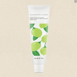 Cheongmijeong Spot Blemish Cream Kakadu Plum Cream 50g / 청미정 기미잡티크림 카카두플럼크림 50g x 1개 임산부선물 부모님선물