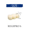 Regipro B Bottle Brush Replacement Sponge Set of 10 Water
