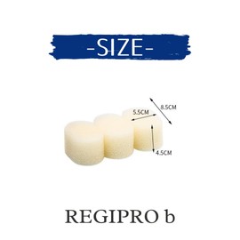 Regipro B Bottle Brush Replacement Sponge Set of 10 Water Bottles White (Replacement Sponge)