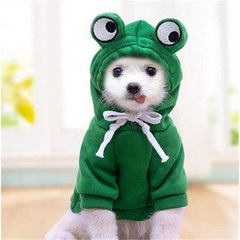 Funny Dog Hoodie, Dog Sweater Cute Apple Banana Frog Shape Warm Jacket for Pet Fashion Cold Weather Wear Outfit Outerwear for Small Medium Dogs Cats Green XL