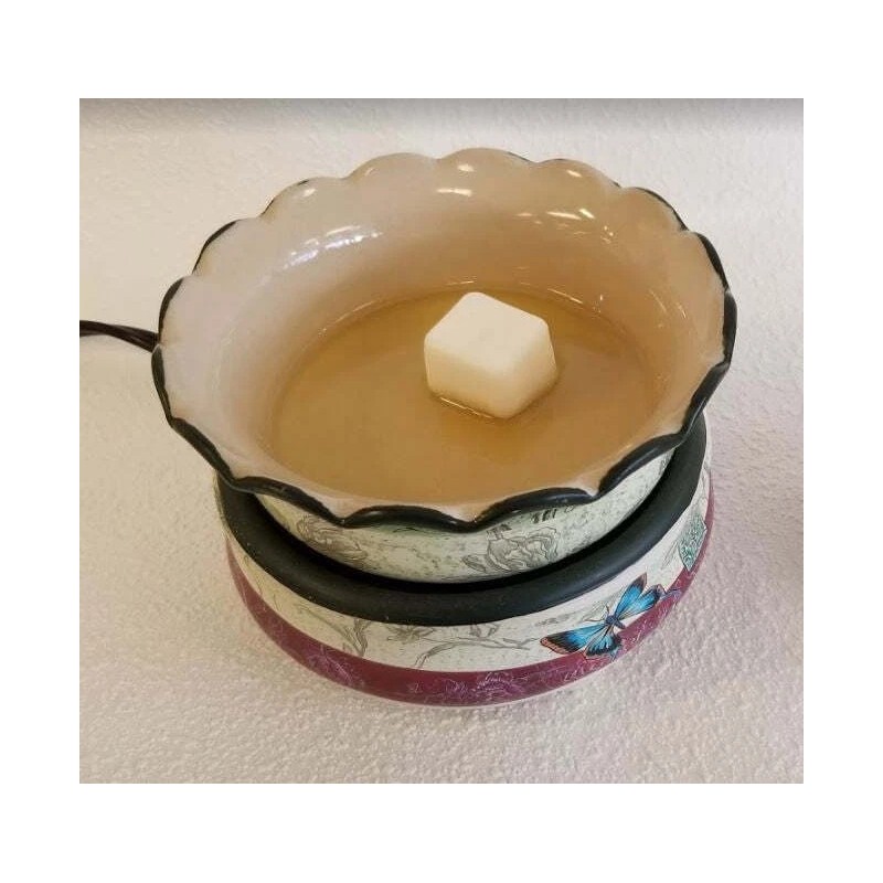 Eartherella SUGAR COOKIE Soy Melts Tarts 2.7 oz