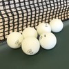 Sure Shot Matthew Syed Bulk Table Tennis Balls - box