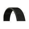 CONTITECH 7PK1642 V-Ribbed Belt