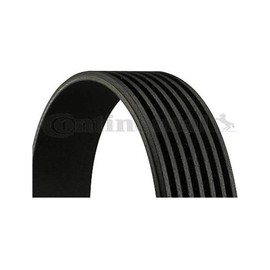 CONTITECH 7PK1642 V-Ribbed Belt