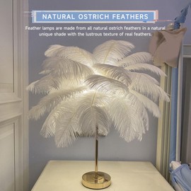Lámpara de Pluma de Avestruz, Interruptor Táctil, Lámpara de Mesa de Plumas USB, Lámpara de Princesa, Mesita de Noche Estética, Luz de Escritorio Dorada, Lámpara de Mesa Funky