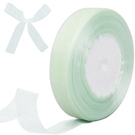 GORGECRAFT 50Yds x 21mm Sheer Organza Ribbon Pale Green Chiffon Ribbon Trim Party Decoration Wedding Invitations Wreath Wrap Crafts Mesh Edge Trimming for Gift Wrapping Flower Bouquet Christmas