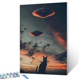 Tucocoo UFO Paint by Bumbers for Adults Beginner Black Cat DIY Paint by Numbers Acrylic Paint Canvas Sunset Moon Bedroom Decor Fantasy Scene Dark Clouds Painting Kits Art 16x20 Inch （Without Frame ）