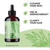 Maple Holistics Aceite Esencial Puro Árbol De Té Difusor Masajes,