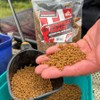 Fjuka Squeez-Ready Method Pellet 2mm | Ready-prepped Method feeder pellet