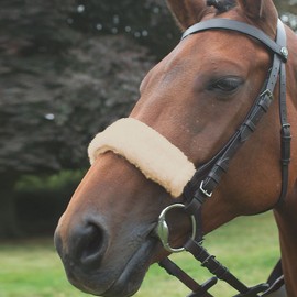 Shires Acrilan Noseband Sleeve-Natural One Size