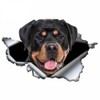 Rottweiler 3D Breakthrough Effect, Waterproof, Reflective, Funny Sticker for Laptop,